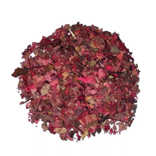 Feuilles Vigne Rouge bio